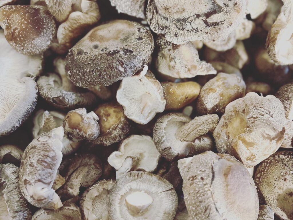 Shittake mushrooms
